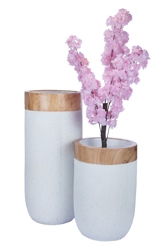 Cherry Blossom