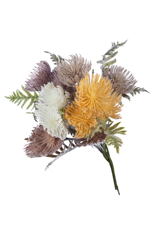 King Protea