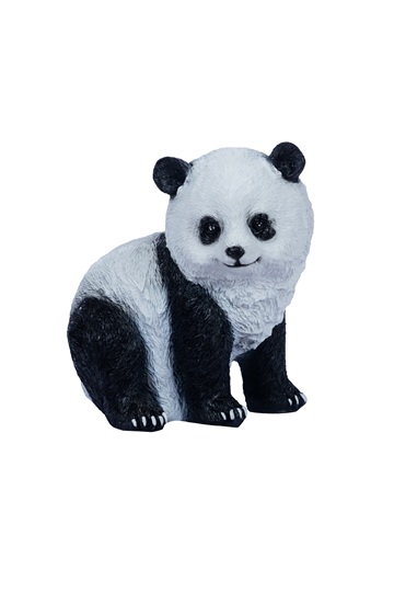 Little Panda
