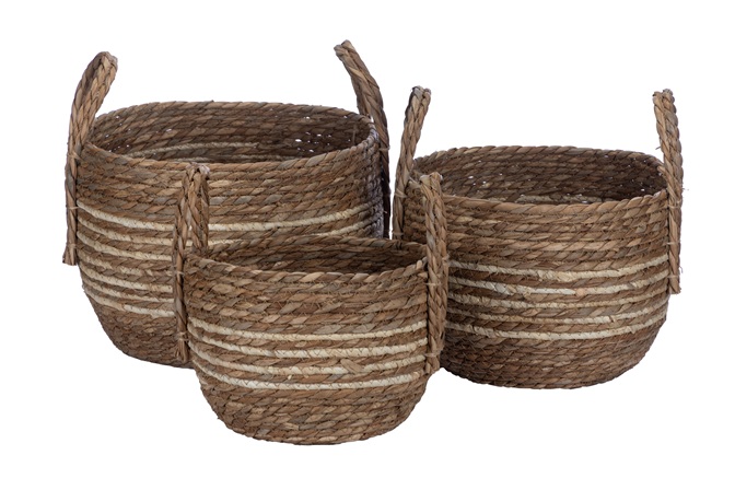 Rustic Root